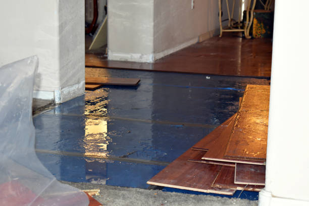 Professional Burst Pipe Water Damage technician working in Smiley, TX